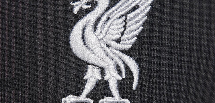 Liverpool Training Shirt 2024