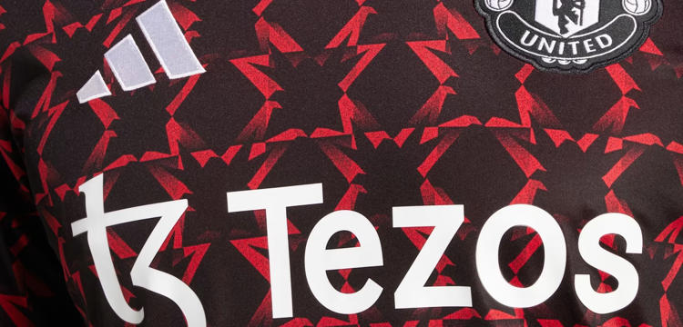 Manchester United Warming Up Shirts 2024 2025