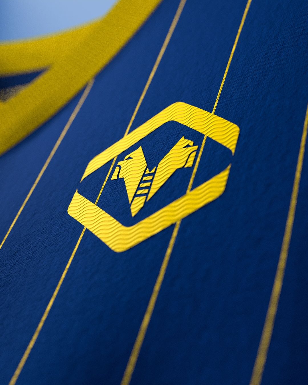 Hellas Verona 2024-2025 maglie